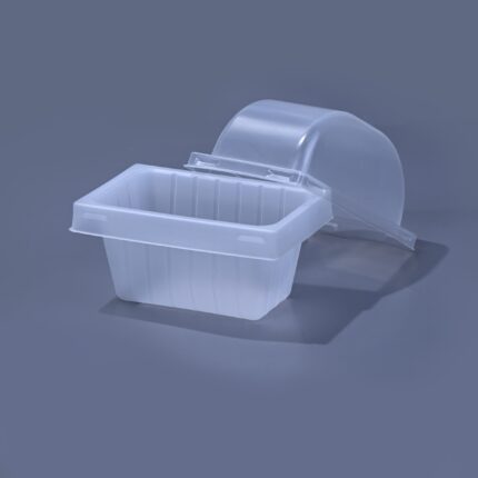 Clear PET Sandwich Wedge Box for Bakery Takeout